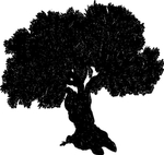 大树