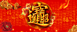 招财进宝  牡丹  花 红色背