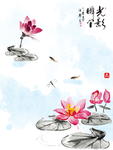 荷花素材