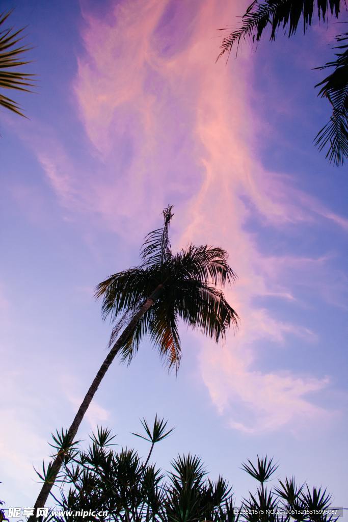 夕阳