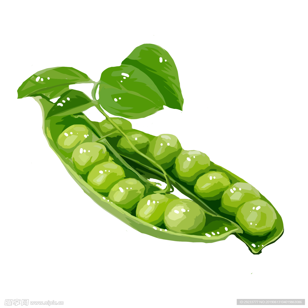 豌豆免抠素材