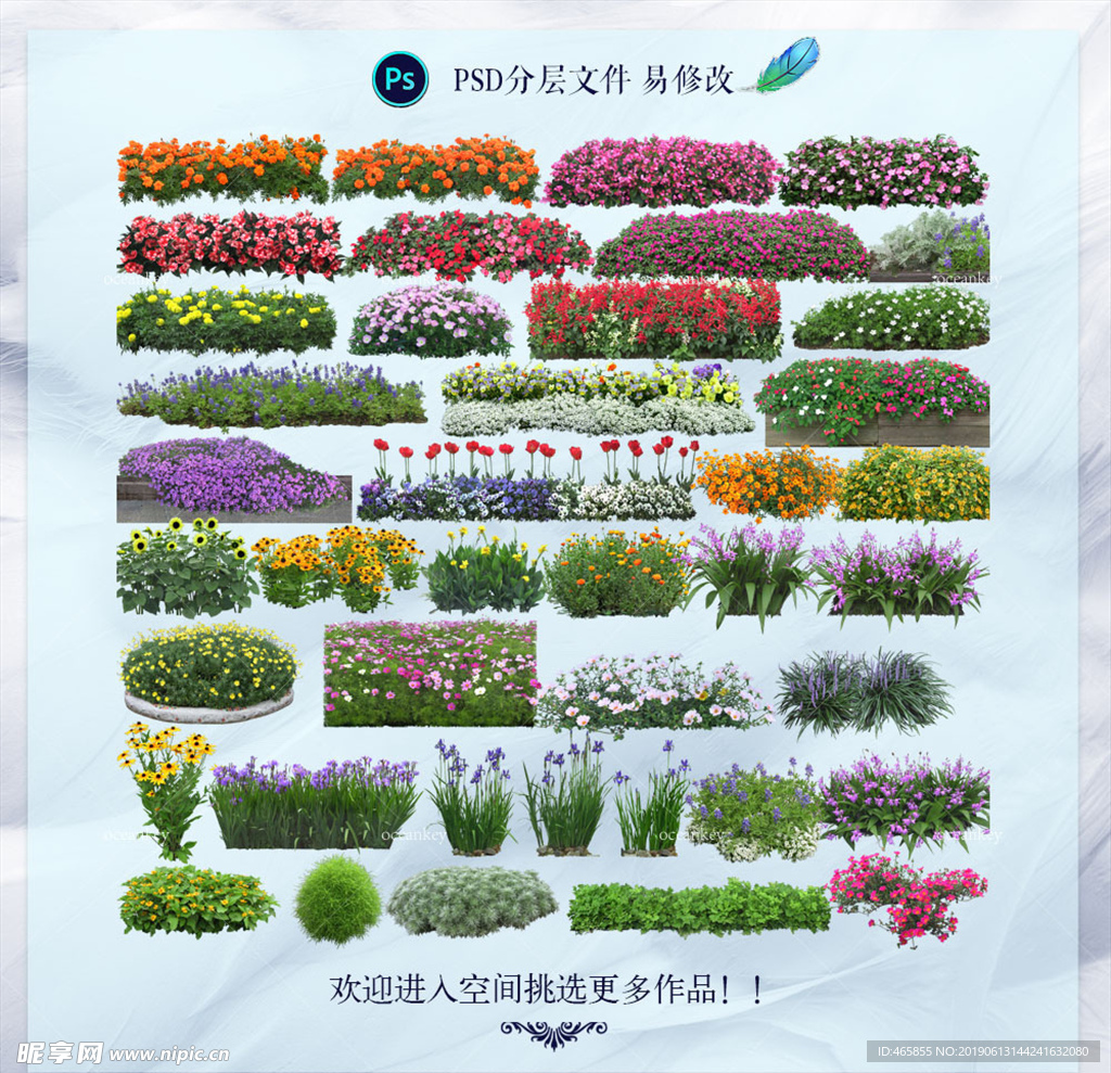 植物扣图 绿植