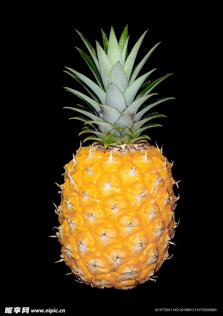 菠萝