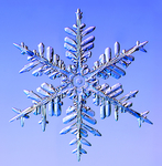 冰霜雪花