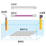 龟养殖方法