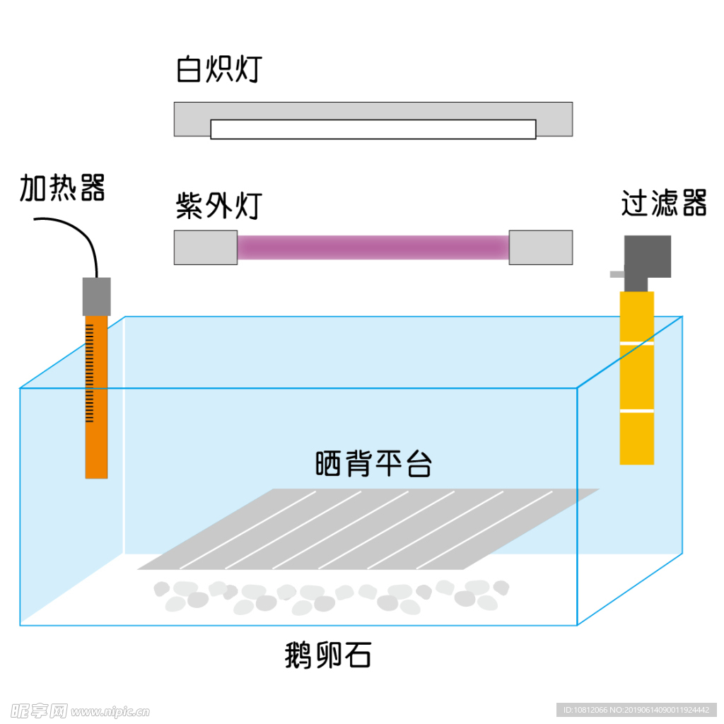 龟养殖方法