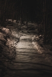 雪原小路