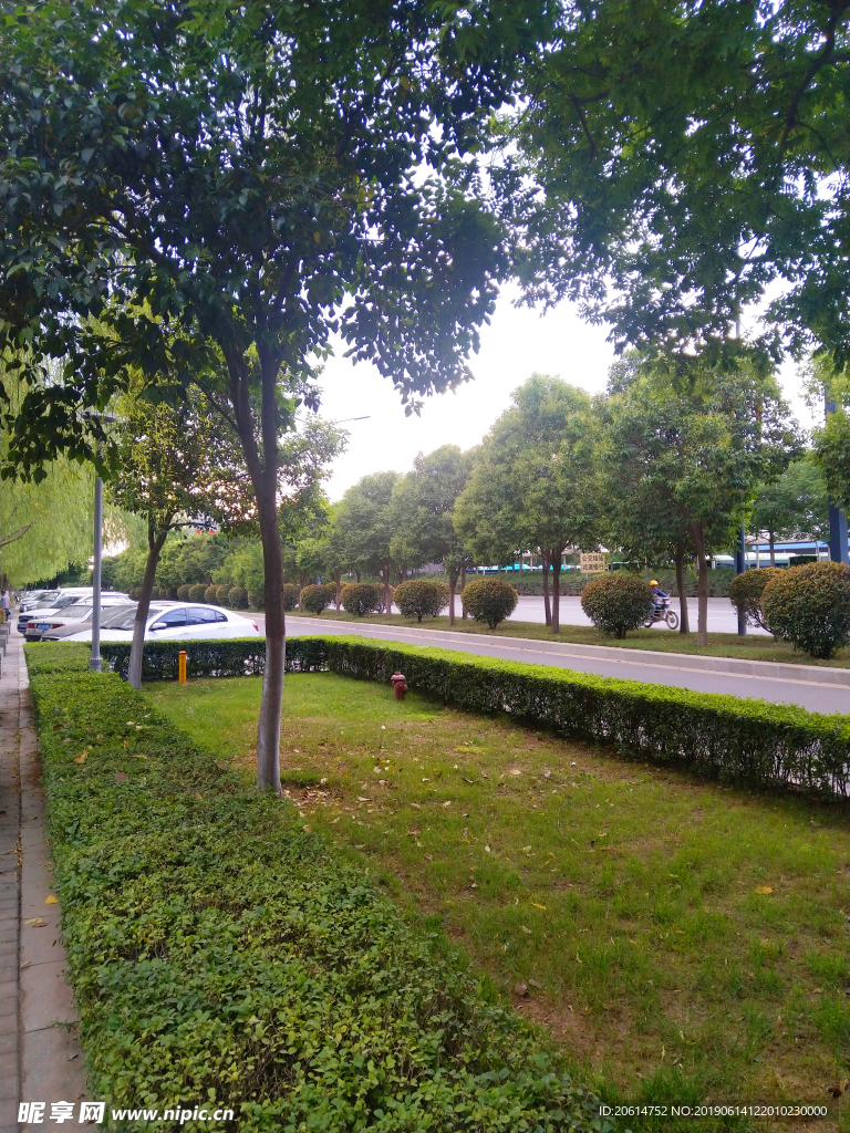 城市公园风景