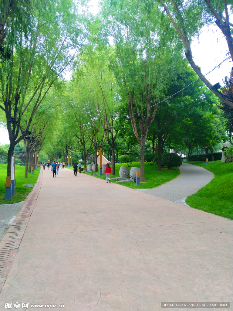 城市公园风景