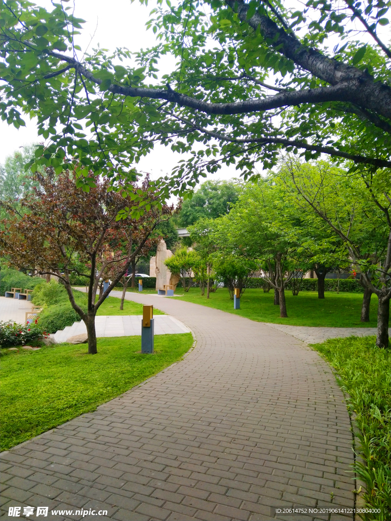 城市公园美景