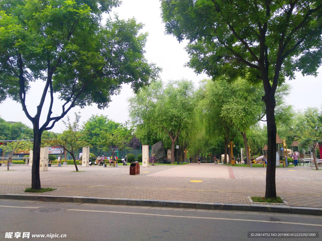 美丽的公园风景