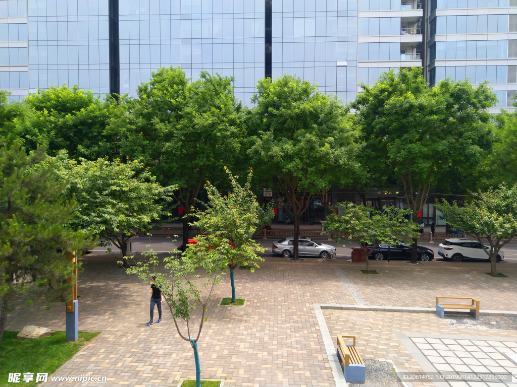 美丽的公园风景