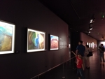 展览 摄影展  场馆    展