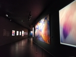 展览 摄影展  场馆    展