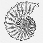 矢量手绘海螺