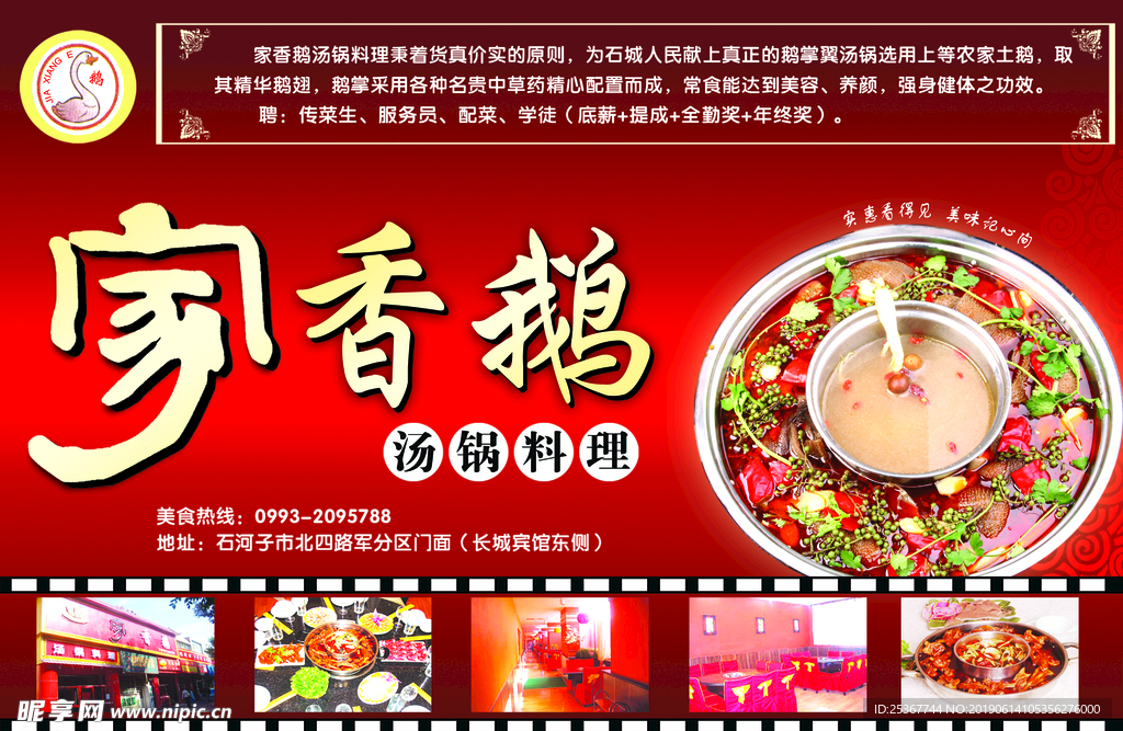 家乡鹅海报