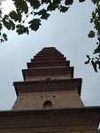 普救寺