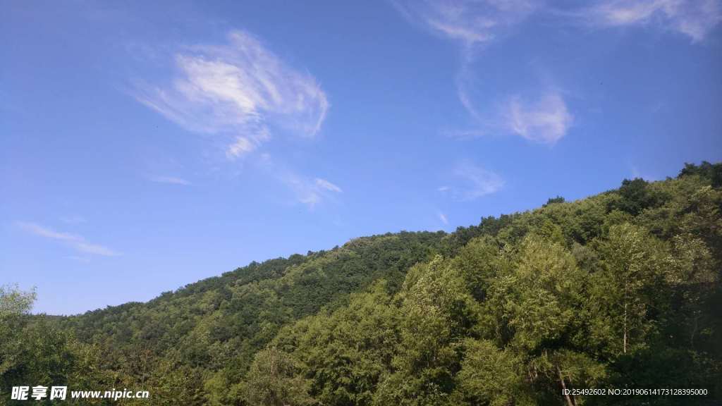 山野 蓝天