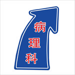 右转指示箭头