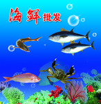 海鲜