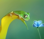 静