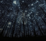 星夜