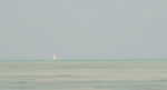 大海