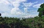蓝天城市