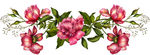 绝美手绘鲜花花束超清透明PNG