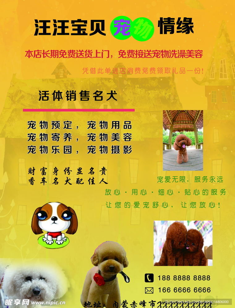 宠物店宣传单