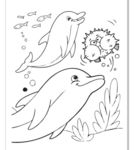 简笔画海豚