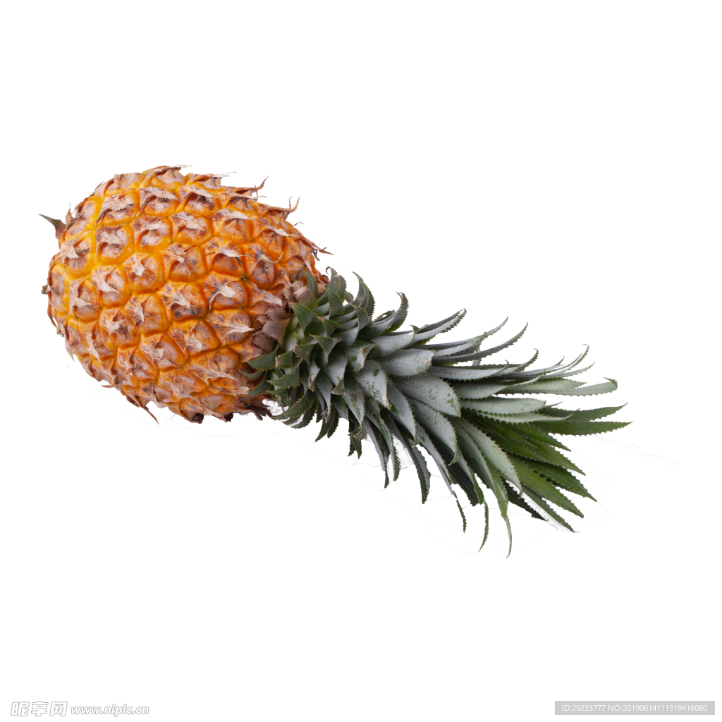 菠萝免抠素材