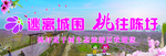 桃花节