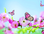 桃花节