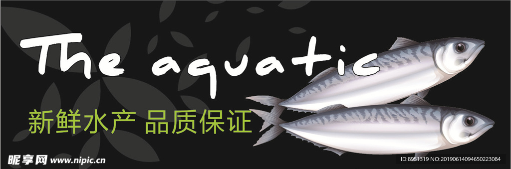 水产  鱼