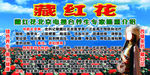 藏红花喷布