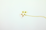 黄金项链31