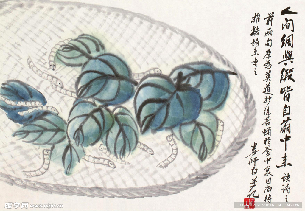 桑蚕