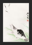鳜鱼