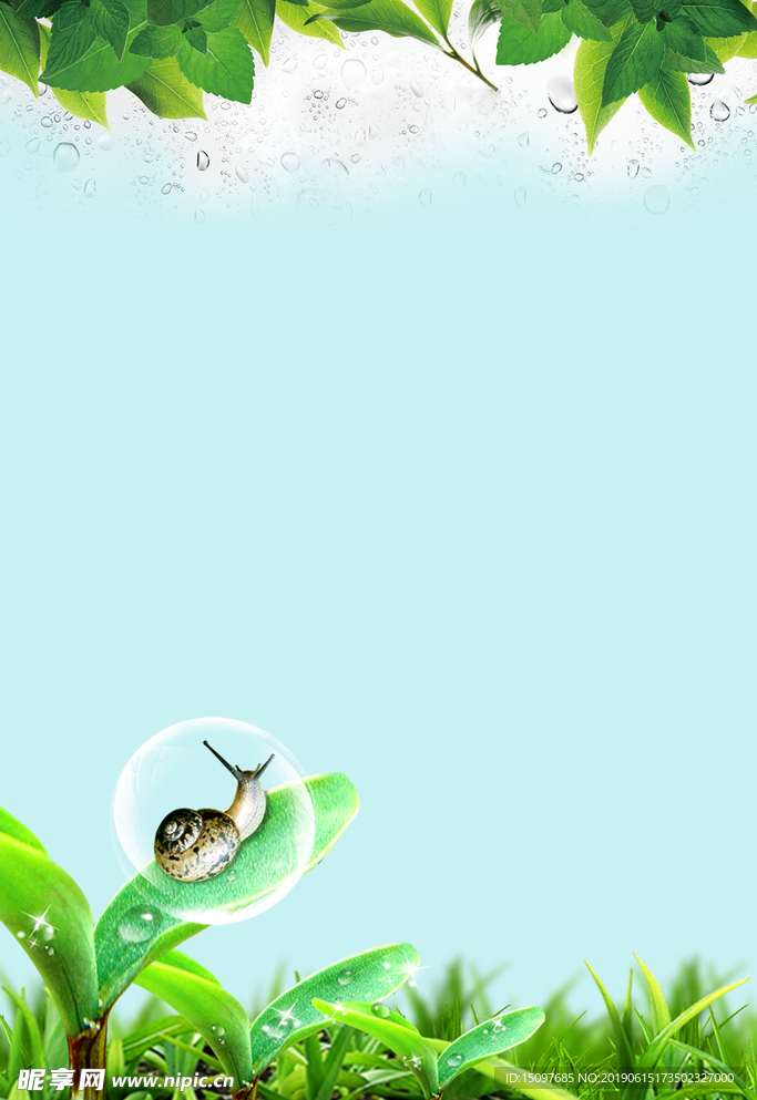 绿色树叶背景