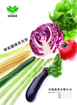 蔬菜海报