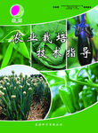 农业海报