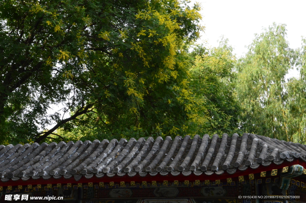 大观园风景