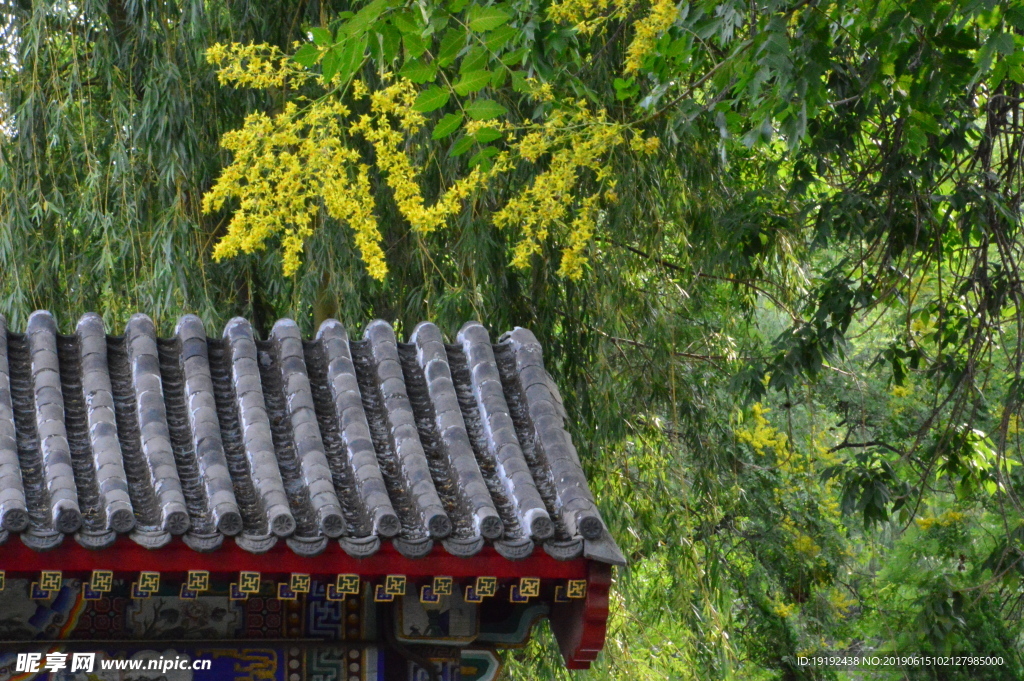 大观园风景