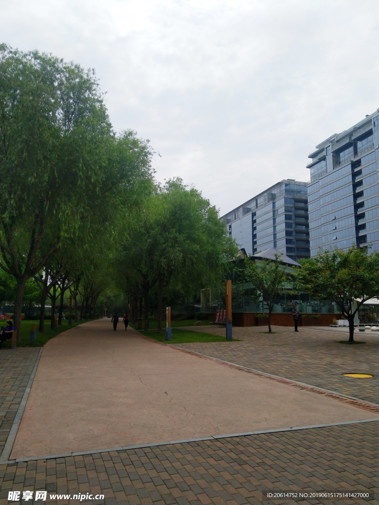 城市公园风景