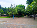 城市公园美景