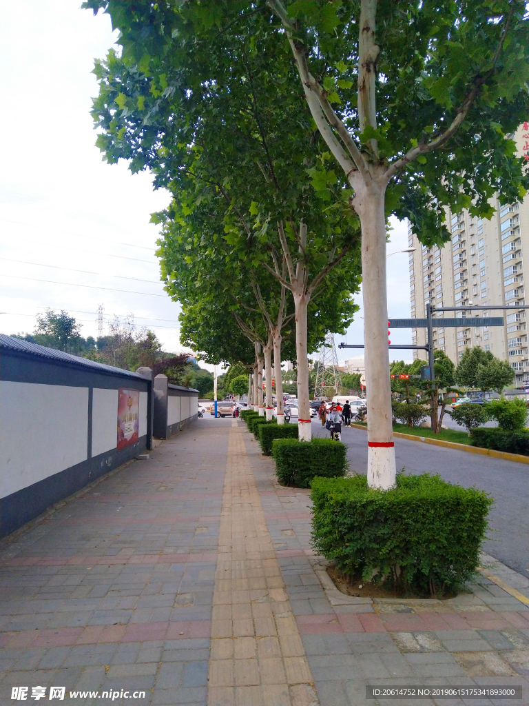 城市街道风景