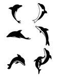 海豚
