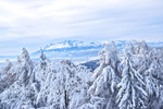 雪峰