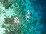 大海